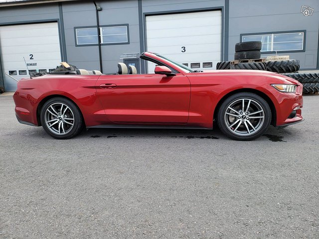 Ford Mustang 24