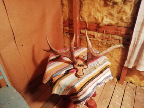 Sarvet, Metsästystarvikkeet, Metsästys ja kalastus, Vesanto, Tori.fi Sarvet, Metsästystarvikkeet, Metsästys ja kalastus, Vesanto, Tori.fi