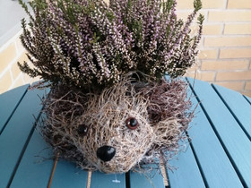 Siiliruukku ja kanerva, Ruukut, kivet ja koristeet, Piha ja puutarha, Joensuu, Tori.fi Siiliruukku ja kanerva, Ruukut, kivet ja koristeet, Piha ja puutarha, Joensuu, Tori.fi