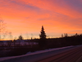 Omakotitalotontti metsän keskellä, Tontit, Jyväskylä, Tori.fi Omakotitalotontti metsän keskellä, Tontit, Jyväskylä, Tori.fi