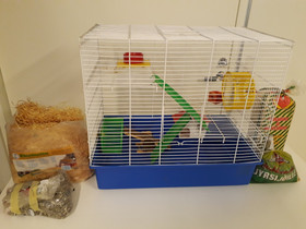 Hamsterin häkki, Muut eläintarvikkeet, Lemmikkieläimet, Kouvola, Tori.fi Hamsterin häkki, Muut eläintarvikkeet, Lemmikkieläimet, Kouvola, Tori.fi
