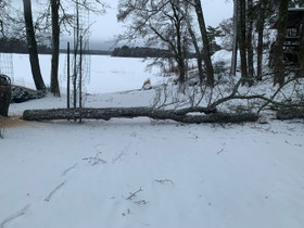 Puunrunko, Muu piha ja puutarha, Piha ja puutarha, Kirkkonummi, Tori.fi Puunrunko, Muu piha ja puutarha, Piha ja puutarha, Kirkkonummi, Tori.fi