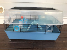 Hamsterin häkki, Muut eläintarvikkeet, Lemmikkieläimet, Oulu, Tori.fi Hamsterin häkki, Muut eläintarvikkeet, Lemmikkieläimet, Oulu, Tori.fi