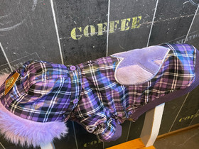 Puppia takki 35cm, Koirien tarvikkeet, Lemmikkieläimet, Harjavalta, Tori.fi Puppia takki 35cm, Koirien tarvikkeet, Lemmikkieläimet, Harjavalta, Tori.fi