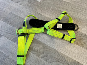 Rukka Y-valjaat XS, neonkeltainen, Koirien tarvikkeet, Lemmikkieläimet, Tampere, Tori.fi Rukka Y-valjaat XS, neonkeltainen, Koirien tarvikkeet, Lemmikkieläimet, Tampere, Tori.fi