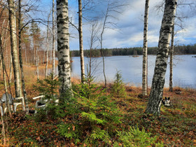 Vapaa-ajan tontti Kangasniemellä 4650m2, Tontit, Kangasniemi, Tori.fi