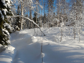 Upea omakotitalotontti, rakennuslupa haettu, Tontit, Joensuu, Tori.fi Upea omakotitalotontti, rakennuslupa haettu, Tontit, Joensuu, Tori.fi