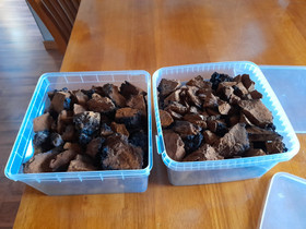 Pakurikääpä, Hyvinvointi ja elintarvikkeet, Terveys ja hyvinvointi, Pieksämäki, Tori.fi Pakurikääpä, Hyvinvointi ja elintarvikkeet, Terveys ja hyvinvointi, Pieksämäki, Tori.fi