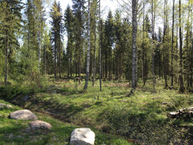 Tontti 1900m2, vapaa-ajan asunnolle, Tontit, Loviisa, Tori.fi Tontti 1900m2, vapaa-ajan asunnolle, Tontit, Loviisa, Tori.fi