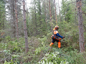 Metsäalan opiskelija ostaa metsäpalstan/metsätilan, Metsätilat ja maatilat, Keuruu, Tori.fi Metsäalan opiskelija ostaa metsäpalstan/metsätilan, Metsätilat ja maatilat, Keuruu, Tori.fi