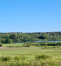 3500m², Laiteentie 131, Ikaalinen, Tontit, Ikaalinen, Tori.fi 3500m², Laiteentie 131, Ikaalinen, Tontit, Ikaalinen, Tori.fi