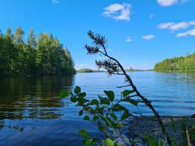 6000m², Mainiementie 1021 kenkunsaari, Hirvensalmi, Tontit, Hirvensalmi, Tori.fi 6000m², Mainiementie 1021 kenkunsaari, Hirvensalmi, Tontit, Hirvensalmi, Tori.fi