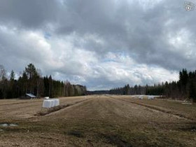 Niskalantie 8, Sotkuma, Polvijärvi, Metsätilat ja maatilat, Polvijärvi, Tori.fi Niskalantie 8, Sotkuma, Polvijärvi, Metsätilat ja maatilat, Polvijärvi, Tori.fi
