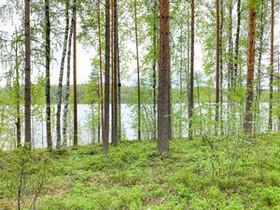 8270m², Vesisaari, Puumala, Tontit, Puumala, Tori.fi 8270m², Vesisaari, Puumala, Tontit, Puumala, Tori.fi