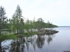 4.65 ha, Sumsan Kylä, Kurjenvarvas, Sotkamo, Tontit, Sotkamo, Tori.fi 4.65 ha, Sumsan Kylä, Kurjenvarvas, Sotkamo, Tontit, Sotkamo, Tori.fi