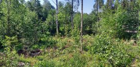720m², Koivissillankuja tontti 2, Vihti, Tontit, Vihti, Tori.fi 720m², Koivissillankuja tontti 2, Vihti, Tontit, Vihti, Tori.fi