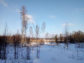 10000m², Hietaniementie, Hamina, Tontit, Hamina, Tori.fi 10000m², Hietaniementie, Hamina, Tontit, Hamina, Tori.fi