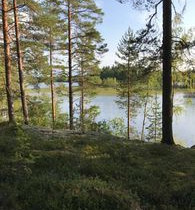 10000m², Kotirannantie, Kitee, Tontit, Kitee, Tori.fi 10000m², Kotirannantie, Kitee, Tontit, Kitee, Tori.fi