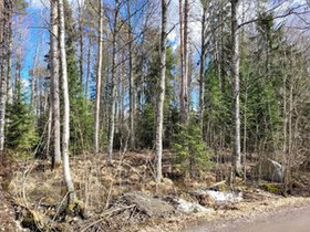 2960m², Kurpantie 5, Hämeenlinna, Tontit, Hämeenlinna, Tori.fi 2960m², Kurpantie 5, Hämeenlinna, Tontit, Hämeenlinna, Tori.fi