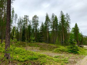 1477m², Kultakuru 3, Pelkosenniemi, Tontit, Pelkosenniemi, Tori.fi 1477m², Kultakuru 3, Pelkosenniemi, Tontit, Pelkosenniemi, Tori.fi