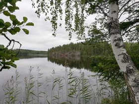 1.01 ha, Kattilamäentie 384, Savonlinna, Tontit, Savonlinna, Tori.fi 1.01 ha, Kattilamäentie 384, Savonlinna, Tontit, Savonlinna, Tori.fi