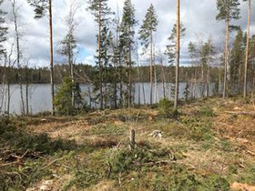 5000m², Lääväkorventie 463, Ruokolahti, Tontit, Ruokolahti, Tori.fi 5000m², Lääväkorventie 463, Ruokolahti, Tontit, Ruokolahti, Tori.fi