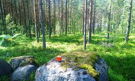 1.31 ha, Hämeenkyläntie 14, Virolahti, Tontit, Virolahti, Tori.fi 1.31 ha, Hämeenkyläntie 14, Virolahti, Tontit, Virolahti, Tori.fi