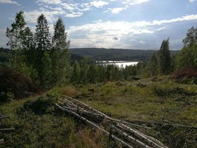 1100m², Kalhunkuja, Jyväskylä, Tontit, Jyväskylä, Tori.fi