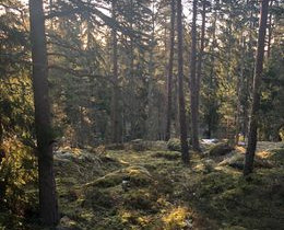 2700m², Kunnarlantie, Espoo, Tontit, Espoo, Tori.fi 2700m², Kunnarlantie, Espoo, Tontit, Espoo, Tori.fi