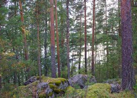 4660m², Uitontie, Jyväskylä, Tontit, Jyväskylä, Tori.fi 4660m², Uitontie, Jyväskylä, Tontit, Jyväskylä, Tori.fi