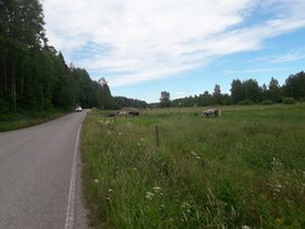 7669m², Immersbyntie, Sipoo, Tontit, Sipoo, Tori.fi 7669m², Immersbyntie, Sipoo, Tontit, Sipoo, Tori.fi