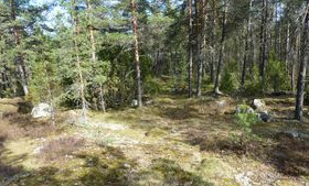 3750m², Penttijaakontie 2 A, Salo, Tontit, Salo, Tori.fi 3750m², Penttijaakontie 2 A, Salo, Tontit, Salo, Tori.fi