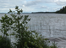 5000m², Rantakosulantie, Tuusniemi, Tontit, Tuusniemi, Tori.fi 5000m², Rantakosulantie, Tuusniemi, Tontit, Tuusniemi, Tori.fi