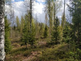 5000m², Sanismäentie 52, Porvoo, Tontit, Porvoo, Tori.fi 5000m², Sanismäentie 52, Porvoo, Tontit, Porvoo, Tori.fi