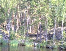 5500m², Lapinsalonsaari 48, Savitaipale, Tontit, Savitaipale, Tori.fi 5500m², Lapinsalonsaari 48, Savitaipale, Tontit, Savitaipale, Tori.fi