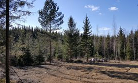 1770m², Riuttatie 5, Riuttarinne, Joutsa, Tontit, Joutsa, Tori.fi 1770m², Riuttatie 5, Riuttarinne, Joutsa, Tontit, Joutsa, Tori.fi