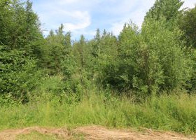 5437m², SOMMARÄNGSVÄGEN 10, Mustasaari, Tontit, Mustasaari, Tori.fi 5437m², SOMMARÄNGSVÄGEN 10, Mustasaari, Tontit, Mustasaari, Tori.fi