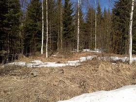 5000m², Kaatrontie 120, Siilinjärvi, Tontit, Siilinjärvi, Tori.fi 5000m², Kaatrontie 120, Siilinjärvi, Tontit, Siilinjärvi, Tori.fi