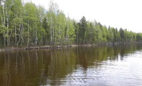 7240m², Etelälahti, Kontiolahti, Tontit, Helsinki, Tori.fi 7240m², Etelälahti, Kontiolahti, Tontit, Helsinki, Tori.fi