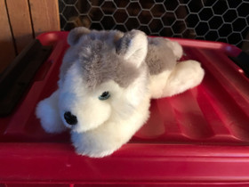 Husky pehmo, Lelut ja pelit, Lastentarvikkeet ja lelut, Padasjoki, Tori.fi Husky pehmo, Lelut ja pelit, Lastentarvikkeet ja lelut, Padasjoki, Tori.fi