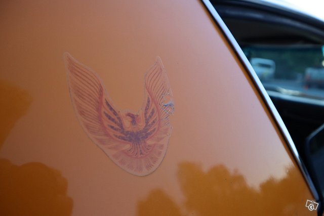 Pontiac Firebird 13