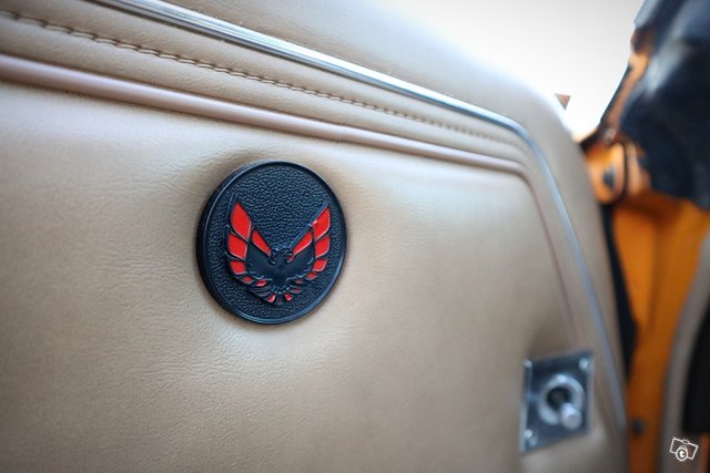 Pontiac Firebird 22