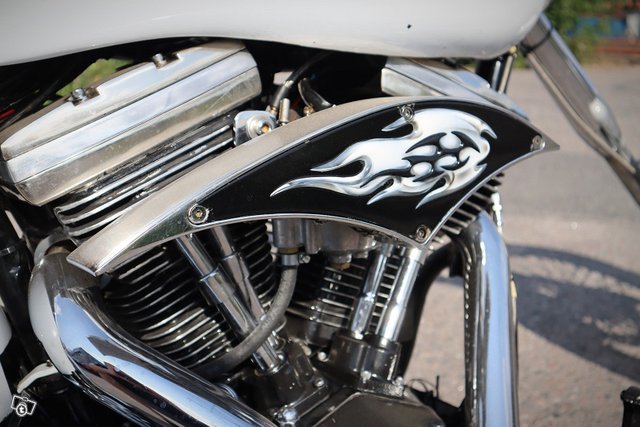 Harley Davidson FXST 5