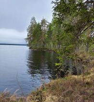 3391m², Laakajärvi (2/4, Haahkantie 32), Kajaani, Tontit, Sotkamo, Tori.fi