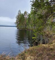 3391m², Laakajärvi (2/4, Haahkantie 32), Kajaani, Tontit, Sotkamo, Tori.fi 3391m², Laakajärvi (2/4, Haahkantie 32), Kajaani, Tontit, Sotkamo, Tori.fi