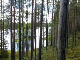 4330m², Merkkivirta Kortteli 2, tontti 3, Suomussa, Tontit, Suomussalmi, Tori.fi 4330m², Merkkivirta Kortteli 2, tontti 3, Suomussa, Tontit, Suomussalmi, Tori.fi
