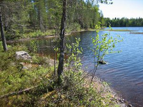 5000m², Merkkivirta Kortteli 4, tontti 1, Suomussa, Tontit, Suomussalmi, Tori.fi 5000m², Merkkivirta Kortteli 4, tontti 1, Suomussa, Tontit, Suomussalmi, Tori.fi