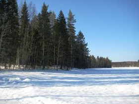 Kaavi Autiosaari, Kaavi, Metsätilat ja maatilat, Kaavi, Tori.fi Kaavi Autiosaari, Kaavi, Metsätilat ja maatilat, Kaavi, Tori.fi