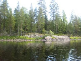 Rautavaara Keyrittyjärven Tulisaari, Rautavaara, Metsätilat ja maatilat, Rautavaara, Tori.fi Rautavaara Keyrittyjärven Tulisaari, Rautavaara, Metsätilat ja maatilat, Rautavaara, Tori.fi