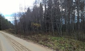 Penkkiniementie 65, Elomäki, Nurmes, Metsätilat ja maatilat, Nurmes, Tori.fi Penkkiniementie 65, Elomäki, Nurmes, Metsätilat ja maatilat, Nurmes, Tori.fi